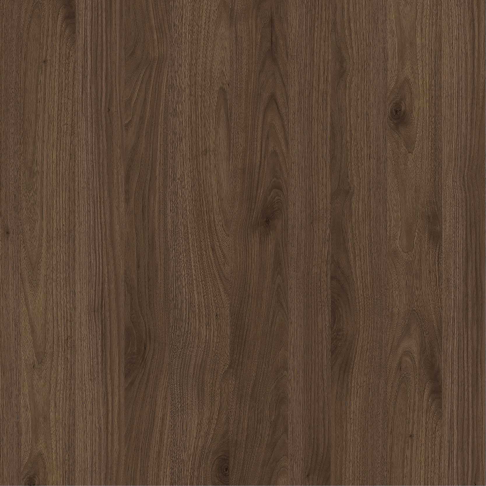 venesta-washrooms-toilet-cubicles-ips-vepps-material-library-laminate-dark-walnut-ven355