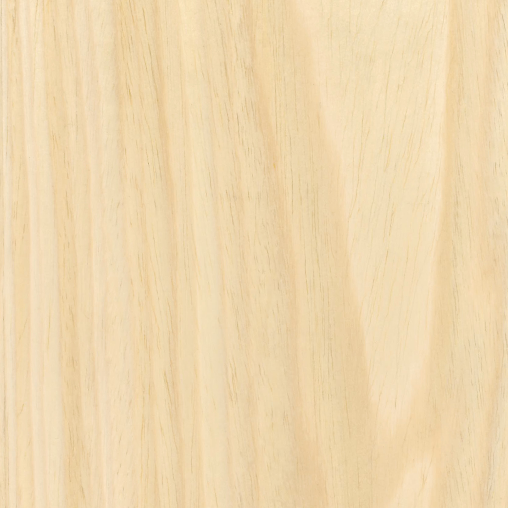 venesta-washrooms-toilet-cubicles-ips-vepps-material-library-wood-veneer-ash-crown-cut